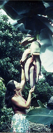 Maggie Lee, owner of Terra Flora Garden Design, in Hawaii in the 1970"s